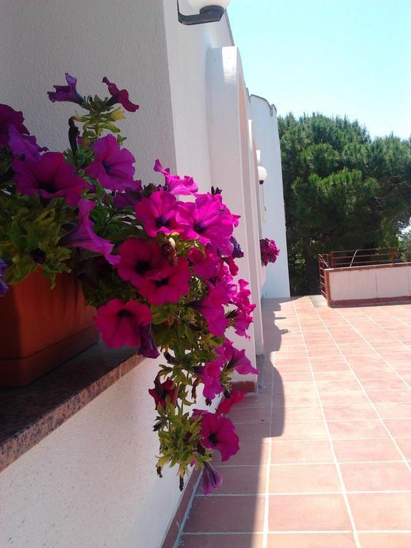 B&B Masseria Nova Torre San Giovanni Ugento Εξωτερικό φωτογραφία