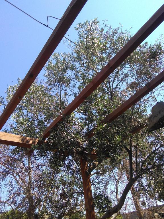 B&B Masseria Nova Torre San Giovanni Ugento Εξωτερικό φωτογραφία